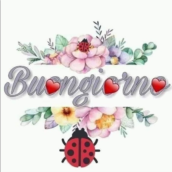 Meet your Posher, Theresa - Picture 1 of 1